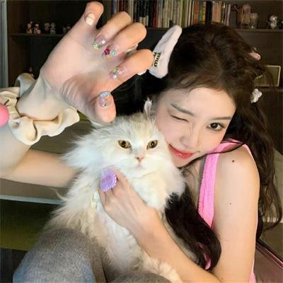 加菲猫2